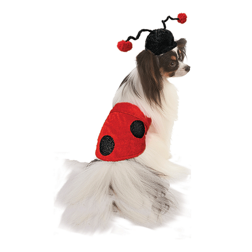 King Wholesale Pet Supplies - Fashion Pet Halloween Costume Ladybug M/l
